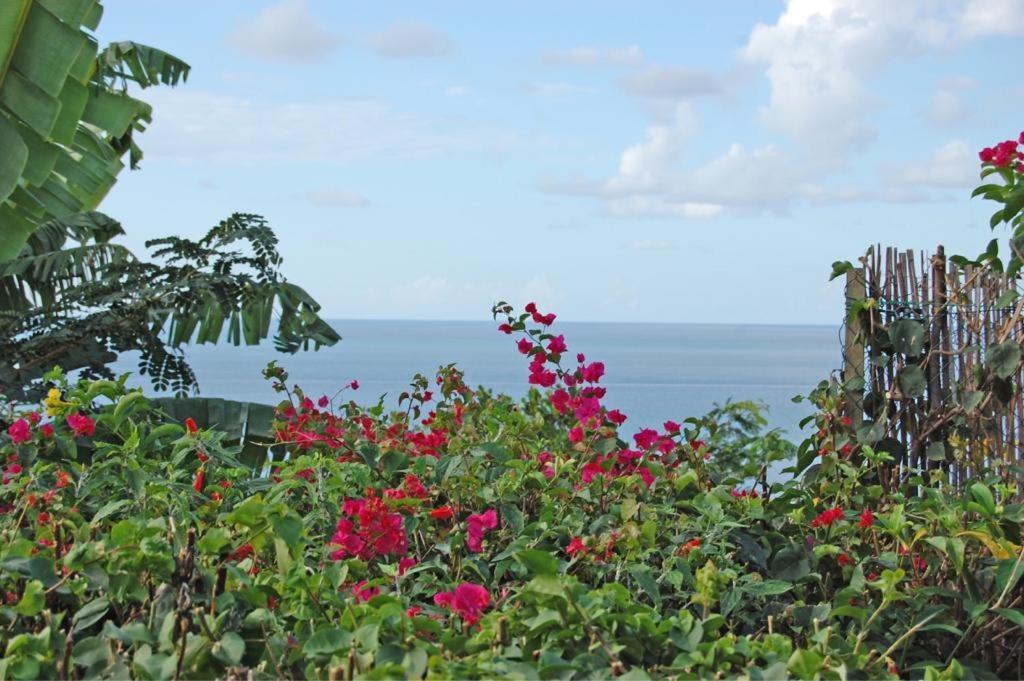 Villa Hibiscus Koungou Extérieur photo